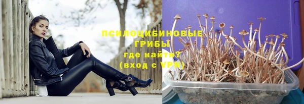 гидропоника Семикаракорск