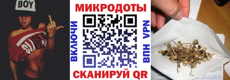 Псилоцибиновые грибы мицелий  OMG сайт  Великий Устюг 